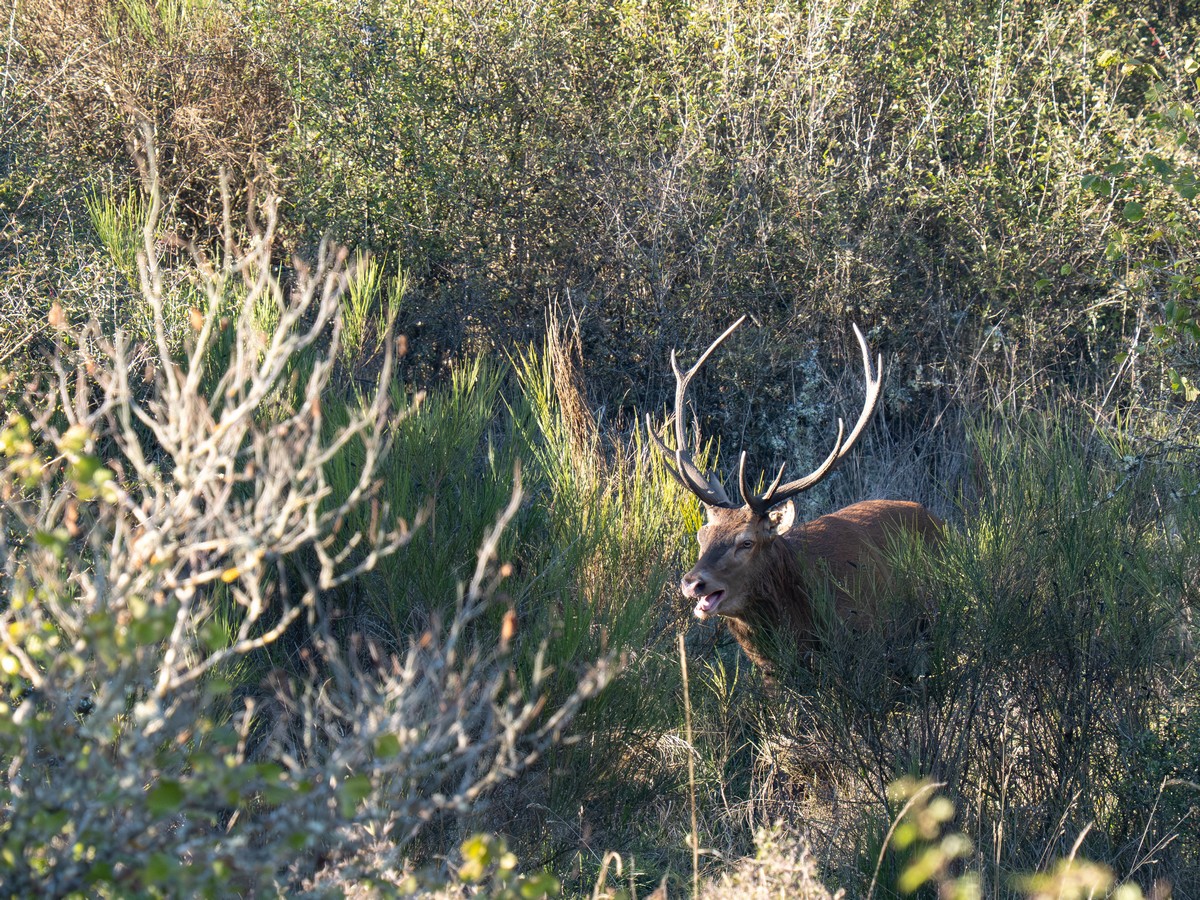 06102025-06 10 25 (29).jpg